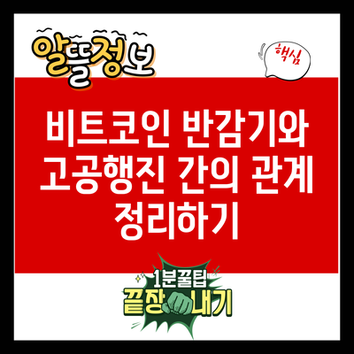 비트코인 반감기와 고공행진 간의 관계 정리하기