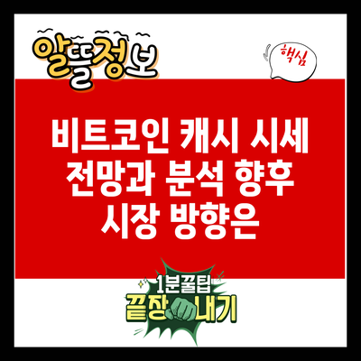 비트코인 캐시 시세 전망과 분석: 향후 시장 방향은?