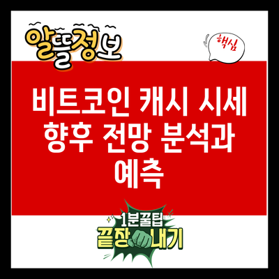 비트코인 캐시 시세 향후 전망 분석과 예측